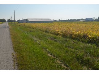 Property photo 31 - REAL ESTATE AUCTION - 604+/- ACRES IN 14 TRACTS IN MERCER CO., OHIO